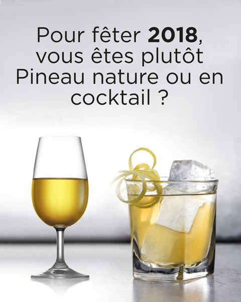 Publicité-Affiche-Pineau-5
