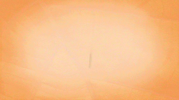 Alesia-pour-Gif-4-600